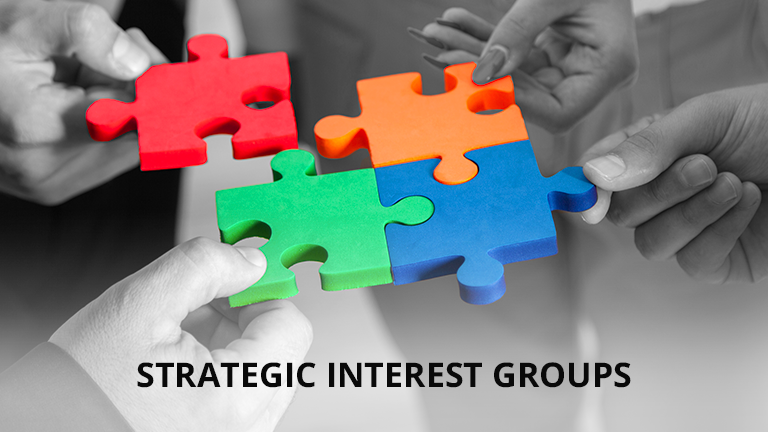 Strategic Interest Groups